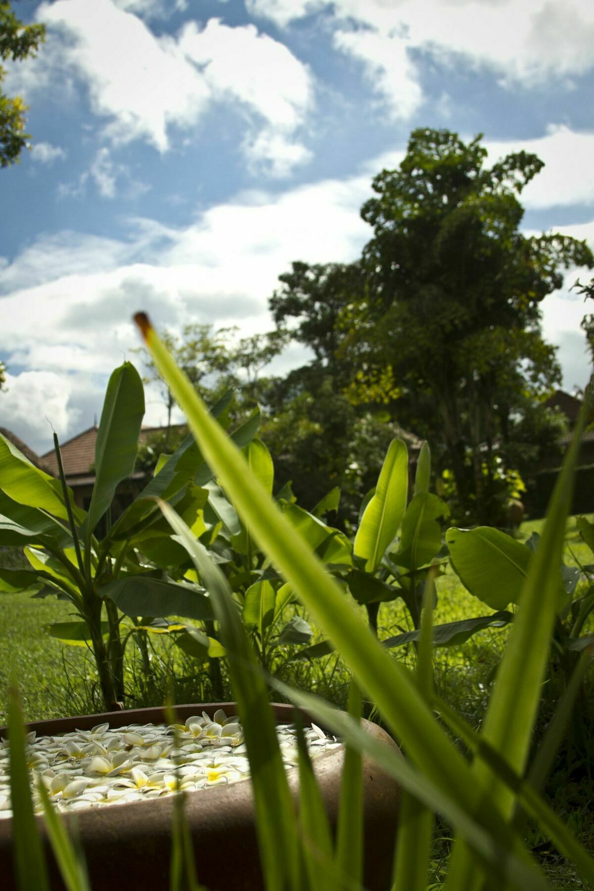 Calvary Home Mae Rim Esterno foto